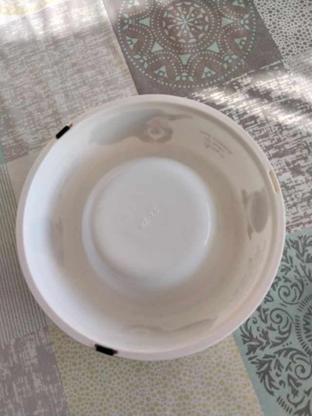 Precioso Plato para perro