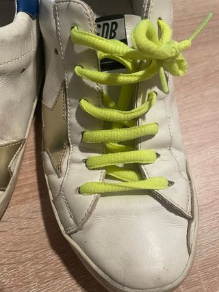 Golden goose