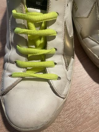 Golden goose