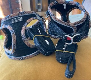 2 Arneses y correas cachorros