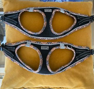 2 Arneses y correas cachorros