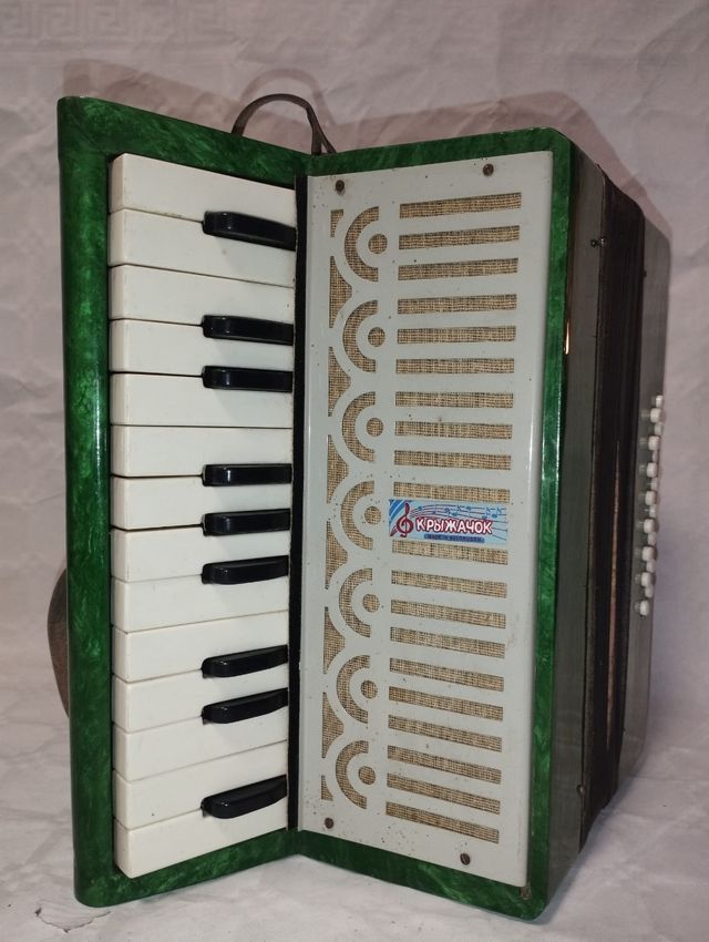 Acordeon vintage