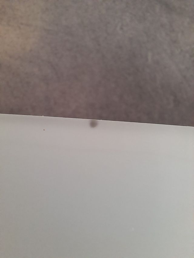 Coppia di lampade plafoniere applique