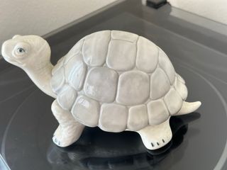 Figura tortuga