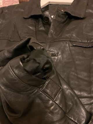 Cazadora piel negra XXL