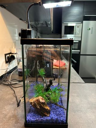 Acuario