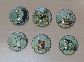 6 placas cava perritos