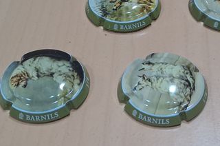 6 placas cava perritos