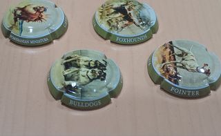 6 placas cava perritos