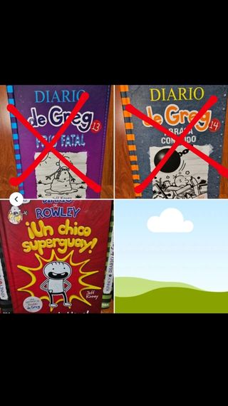 LIBROS EL DIARIO DE GREG