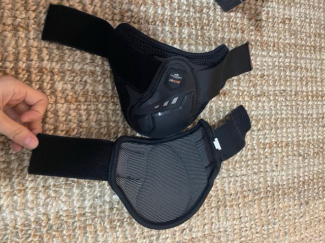 Paranocche Schockemöhle