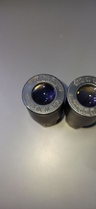 ZEISS Oculares microscopio 10X