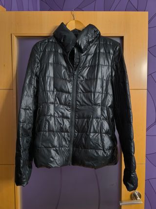 Plumas zara