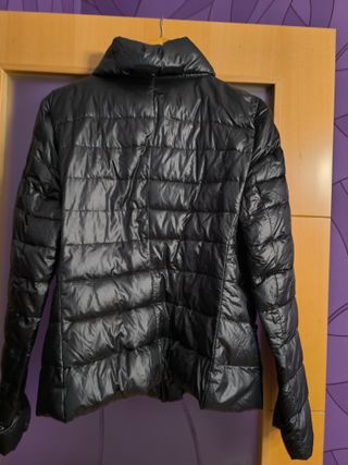Plumas zara
