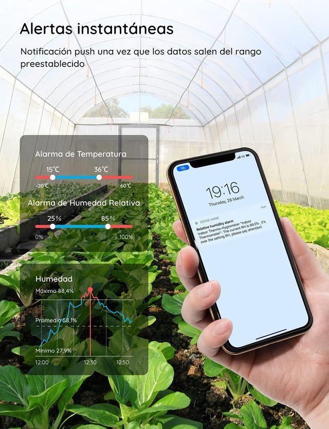 Govee Smart Thermo-Hygrometer H5075
