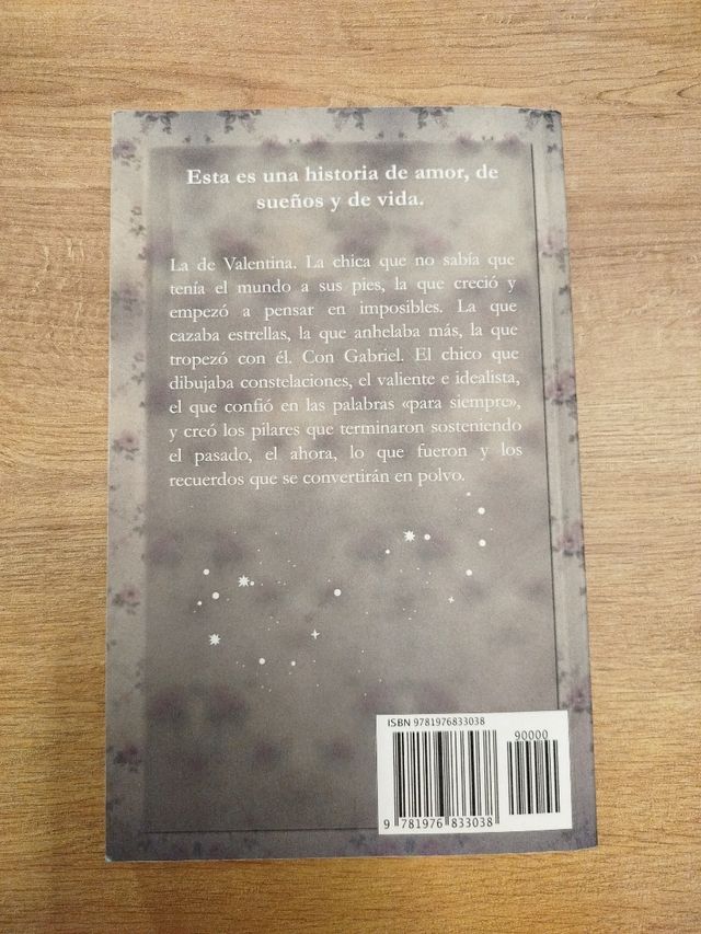 El chico que dibujaba constelaciones (Spanish Edition)