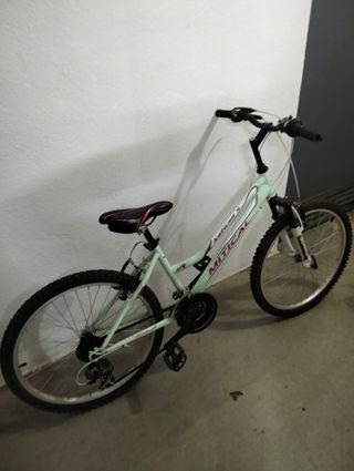 Bicicleta mitical 