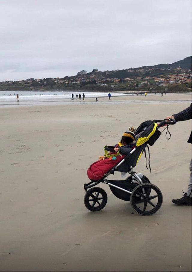 Mountain Buggy Terrain