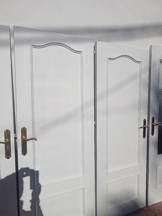 Barnizador profesional