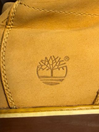 Stivaletto timberland numero 44