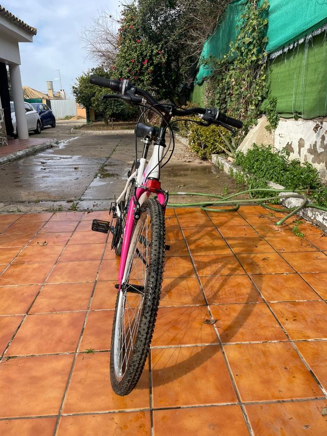 Bicicleta de paseo de 26 pulgadas 