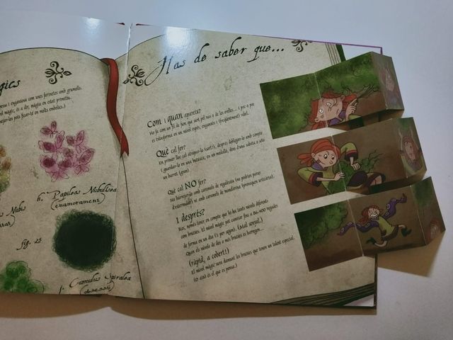 El Dia de les Bruixes (Serie Malva Lluna)