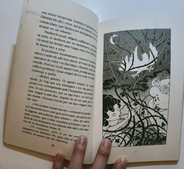 Viatge al país dels cocòlits