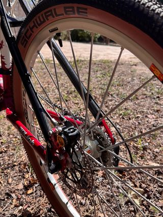 Rocky Mountain Element Team SC taglia M