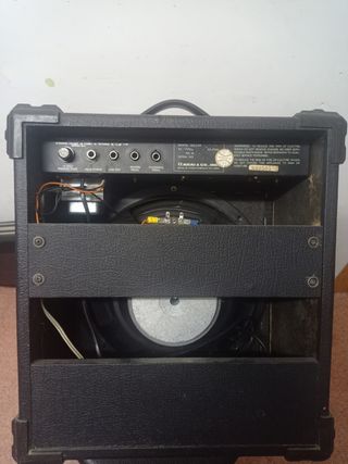 Amplificador de guitarra ARIA AG-35R