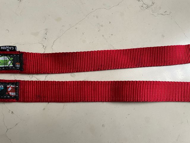 Guinzaglio per cani Camon