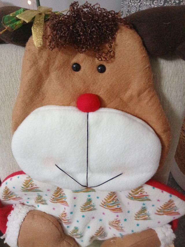 Lote cesta reno y mochila