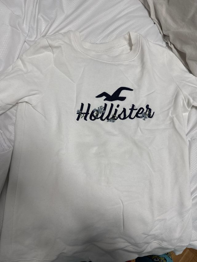Sudadera Hollister