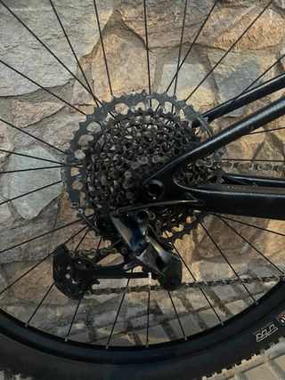 Scott spark rc team