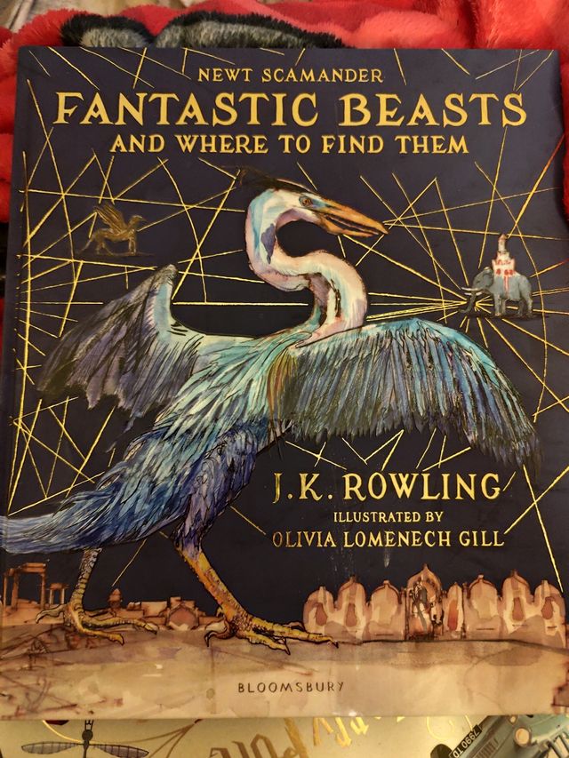 Fantastic beasts and where to find them
