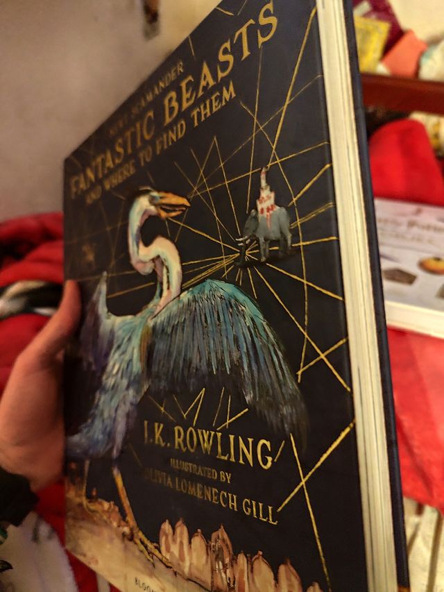 Fantastic beasts and where to find them