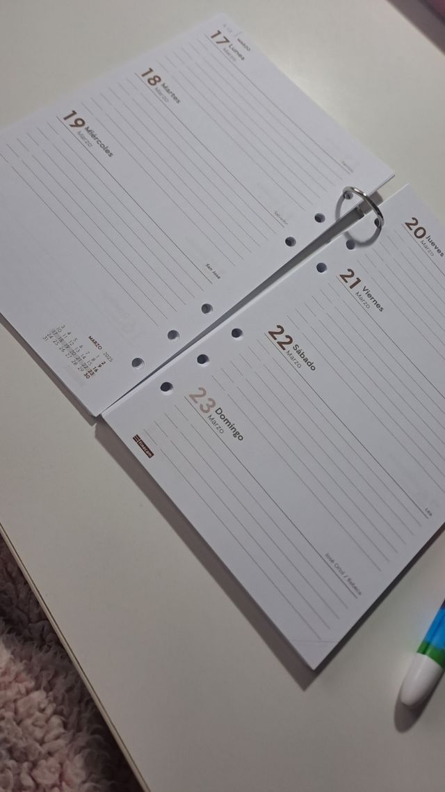 Recambio agenda Finocam R593