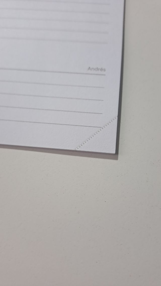 Recambio agenda Finocam R593