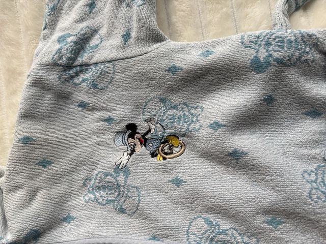 Albornoz niño Disney