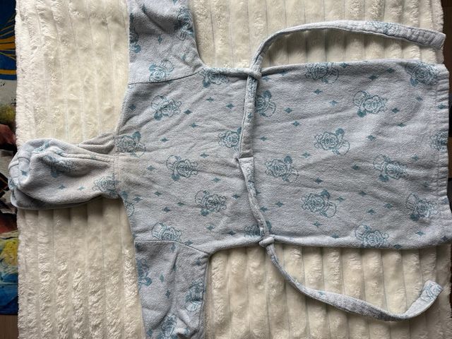 Albornoz niño Disney