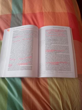 Globalization and Work