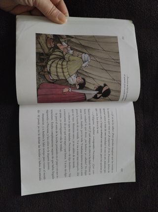 Las novelas ejemplares de Cervantes (Biblioteca Escolar, en rústica)