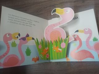 Un Libro Pop-Up Colores