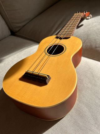 Ukelele Stagg US60S con Funda