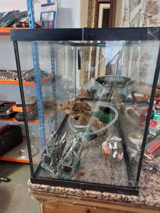 Acuario 100l