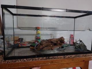 Acuario 100l