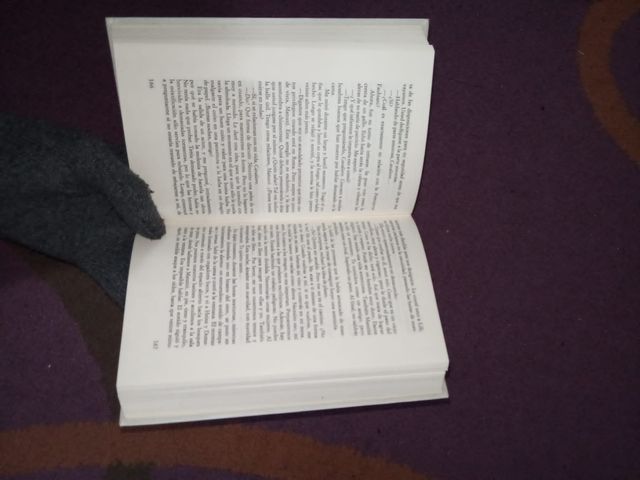 La Salamandra (Original Title: The Salamander) Spanish Version (Circulo De Lectores)