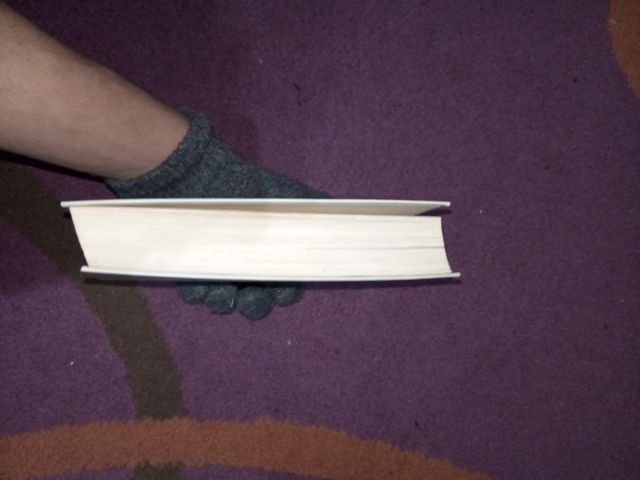 La Salamandra (Original Title: The Salamander) Spanish Version (Circulo De Lectores)