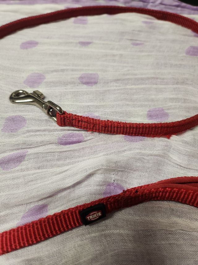 Guinzaglio cane taglia piccola media