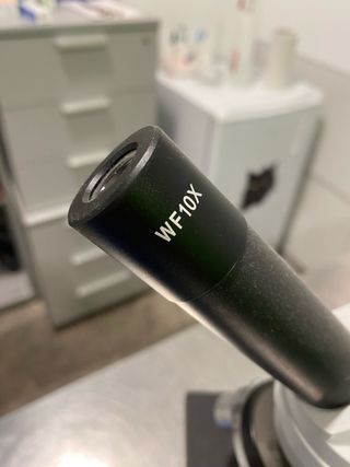 MICROSCOPIO MONOCULAR