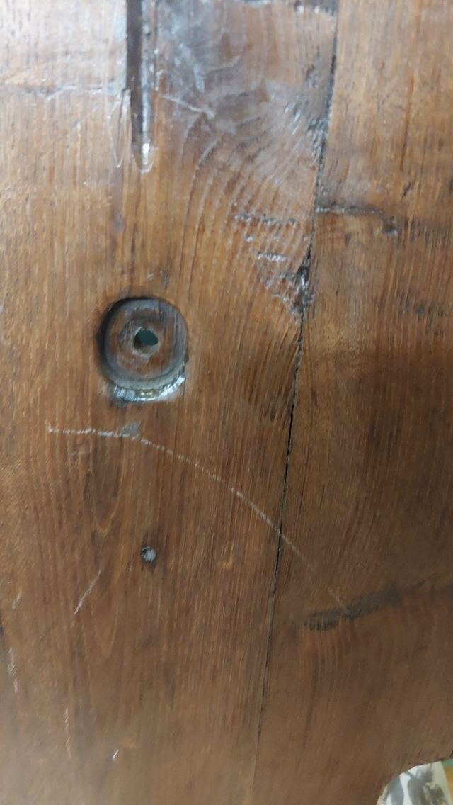 Metopa escudo de armas antigua roble